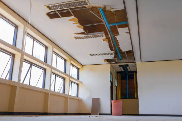 Best Local water damage restoration  in Rhinelander, WI