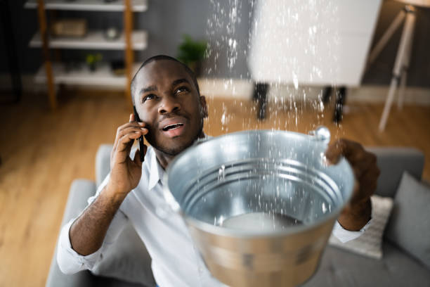 Best Water damage contractors near me  in Rhinelander, WI