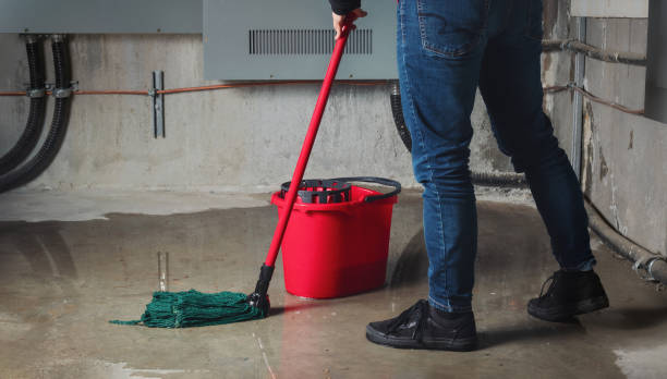 Best Water damage restoration cost  in Rhinelander, WI