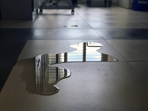 Best 24-hour water damage restoration  in Rhinelander, WI