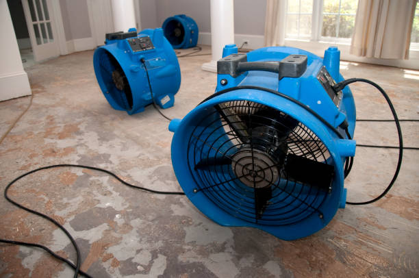  Rhinelander, WI Water damage restoration Pros