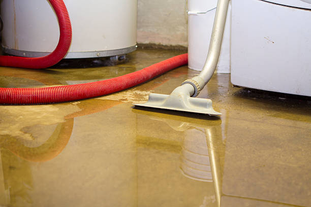 Best Water damage restoration near me  in Rhinelander, WI