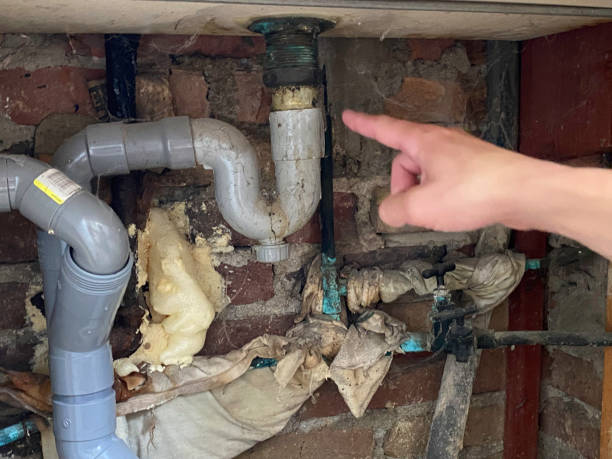Best Water damage cleanup near me  in Rhinelander, WI