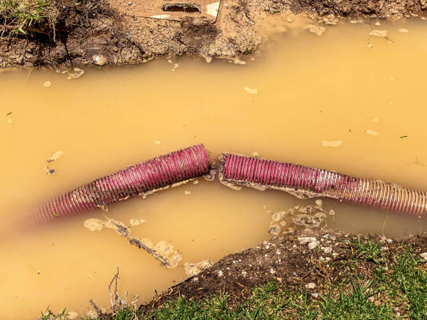 Best Water damage restoration near me  in Rhinelander, WI